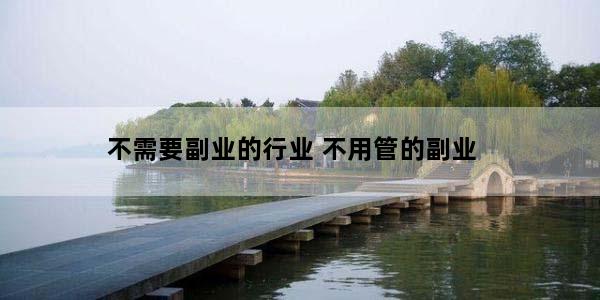 不需要副业的行业 不用管的副业